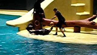 Imagen 114