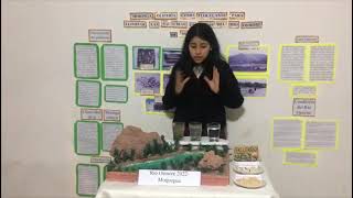 Moringa Oleiferia como floculante para eliminar las bacterias en aguas del Río Osmore de Moquegua