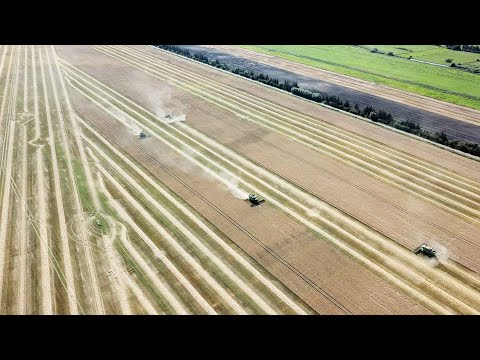 Big Harvest of