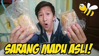 MAKAN SARANG MADU ASLI! GIMANA RASANYA? | #SipitFood