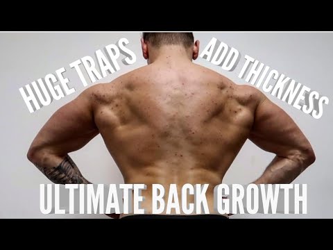 BACK WORKOUT FOR GROWTH