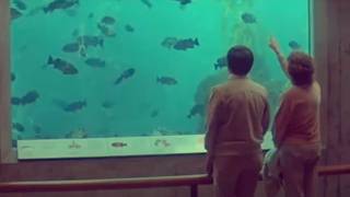 Humpback In Time Saba Lou Video