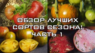 ОБЗОР ЛУЧШИХ СОРТОВ СЕЗОНА! ЧАСТЬ 1