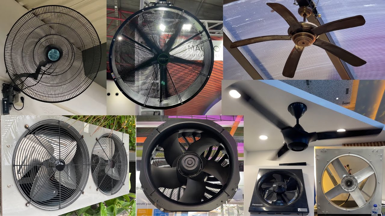 Random Fan & AC Sightings 3!