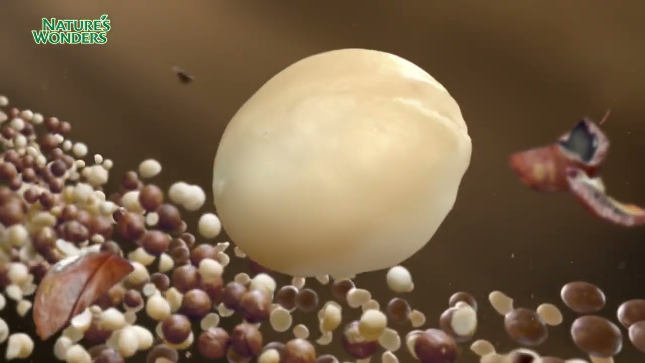 Nature's Wonders - Taste Nature Live Wonders (60sec)