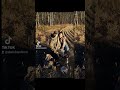 some old hunting pictures