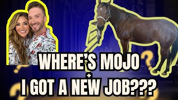Where Has Mojo Been?! Q&A + Something CRAZY Just Happened…