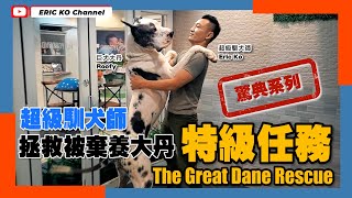 【超級馴犬師 驚典系列】 拯救被棄養大丹 特別任務