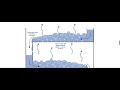 Distillation columns  column internals