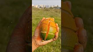 Mango Lovers Emble Y Mango