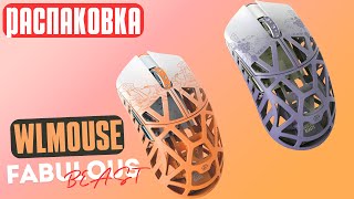 Две БЕЗУМНО КРАСИВЫЕ МЫШКИ! Распаковка WLMouse FABULOUS BEAST