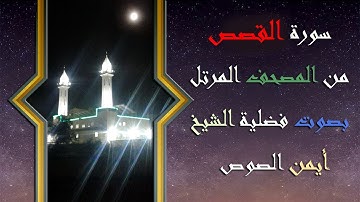 28 سورة القصص الشيخ ايمن الصوص