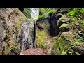 Descenso Barranco el Lerito, La Orotava - Tenerife