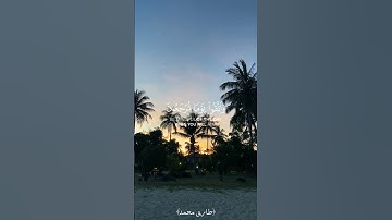 ﴿واتقوا يوما ترجعون فيه إلى الله﴾ طارق محمد حالات واتس تلاوة قرآن #islamicstatus#اسلام #quran#القرآن