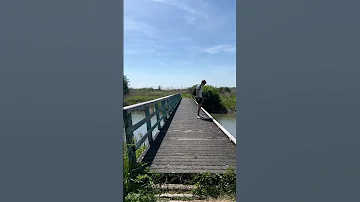 Dodaarspad Oostvaardersplassen