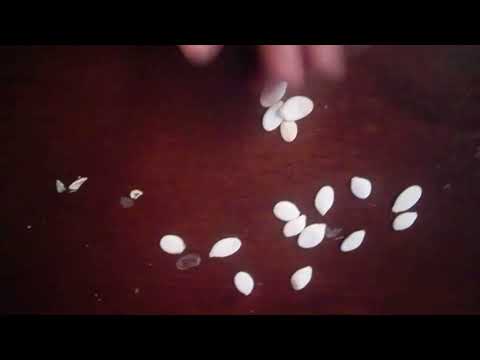 ما هذا عجيب هذا الأمر