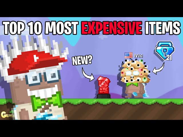 Top 10 most expensive items