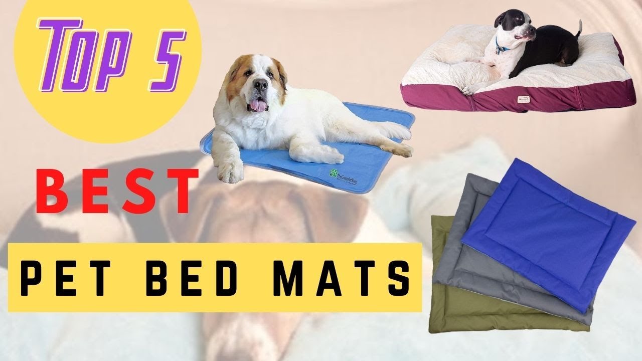 The Best Pet Bed Mats Review 2021 YouTube
