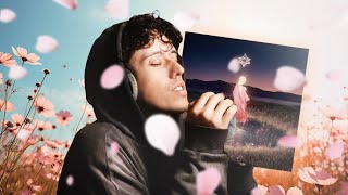 Finally A Peaceful Song  Reverie  Invent Animate Reaction