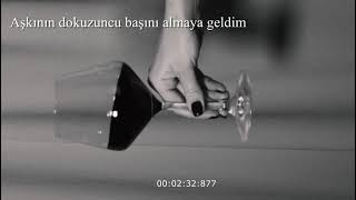 Hazhir Mehrafrouz - Amedeam Sar Naham - هژیر مهرافروز - آمده ام سرنهم(TÜRKÇE ÇEVİRİ)