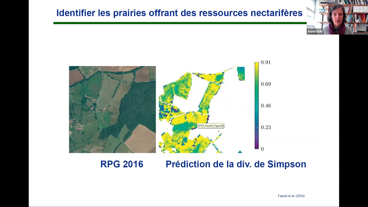 Rôle du paysage sur la biodiversité des milieux agricoles : apport de la télédétection