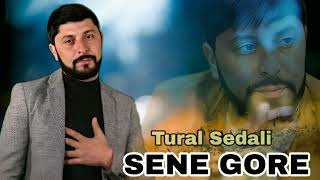 Tural Sedali - Sene Gore - 2024  Resimi