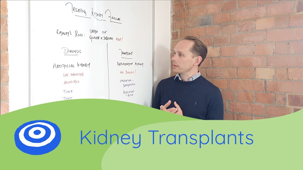 Kidney Transplants Gcse Science Biology 9 1 Youtube