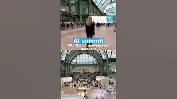 Artificial Intelligence: FRANCE 24 answers your questions • FRANCE 24 English