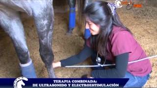 5to programa: Control y Salud