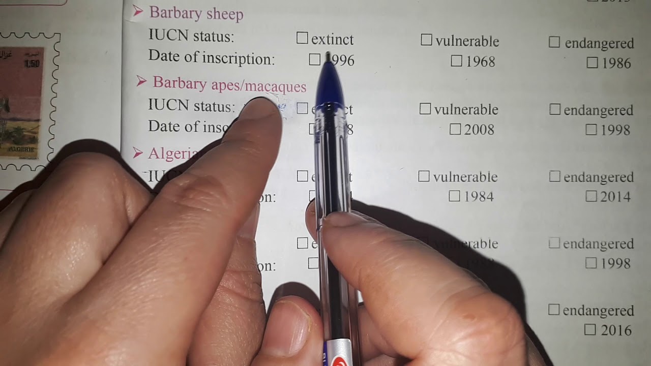 الانجليزية الثالثة متوسط ص116