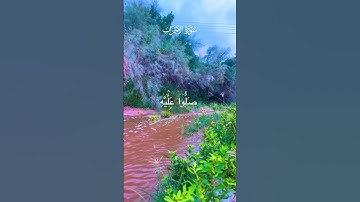 تلاوة من سورة الاحزاب   إِنَّ اللَّهَ وَمَلَائِكَتَهُ يُصَلُّونَ عَلَى النَّبِيِّ ۚ