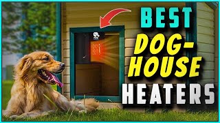 Best Dog House Heaters 2024 (Top 3 Heaters for Dog House Reviewed)