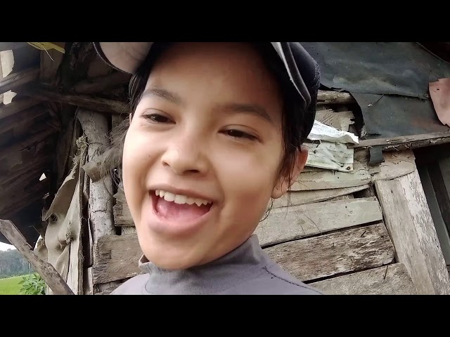 VLOG NOVI KECIL lagi di sawah ikut sama mamah bapak ketemu sama kodok class=