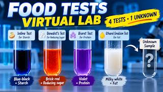 Food Tests Virtual Lab 🔬 | Benedict’s, Iodine, Biuret & Ethanol Tests screenshot 5