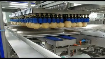 DESMOLDEADOR Robotray® (ESP)