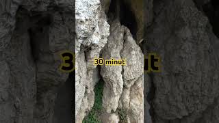 Skałki Piekarskie - Tyniec - Starorzecze Wisły