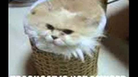 My Awesome Pink Intro ( VERY OLD )