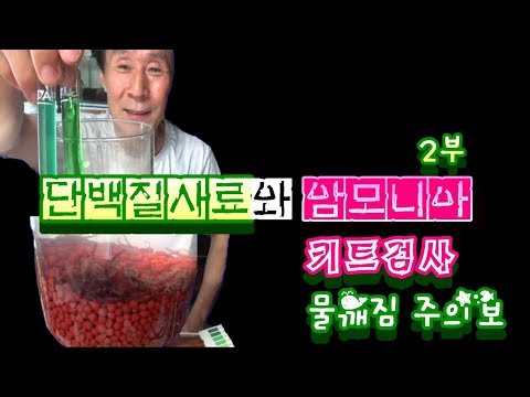 신비의사료7편 생사료 냉짱 암모니아 독성 키트검사2부