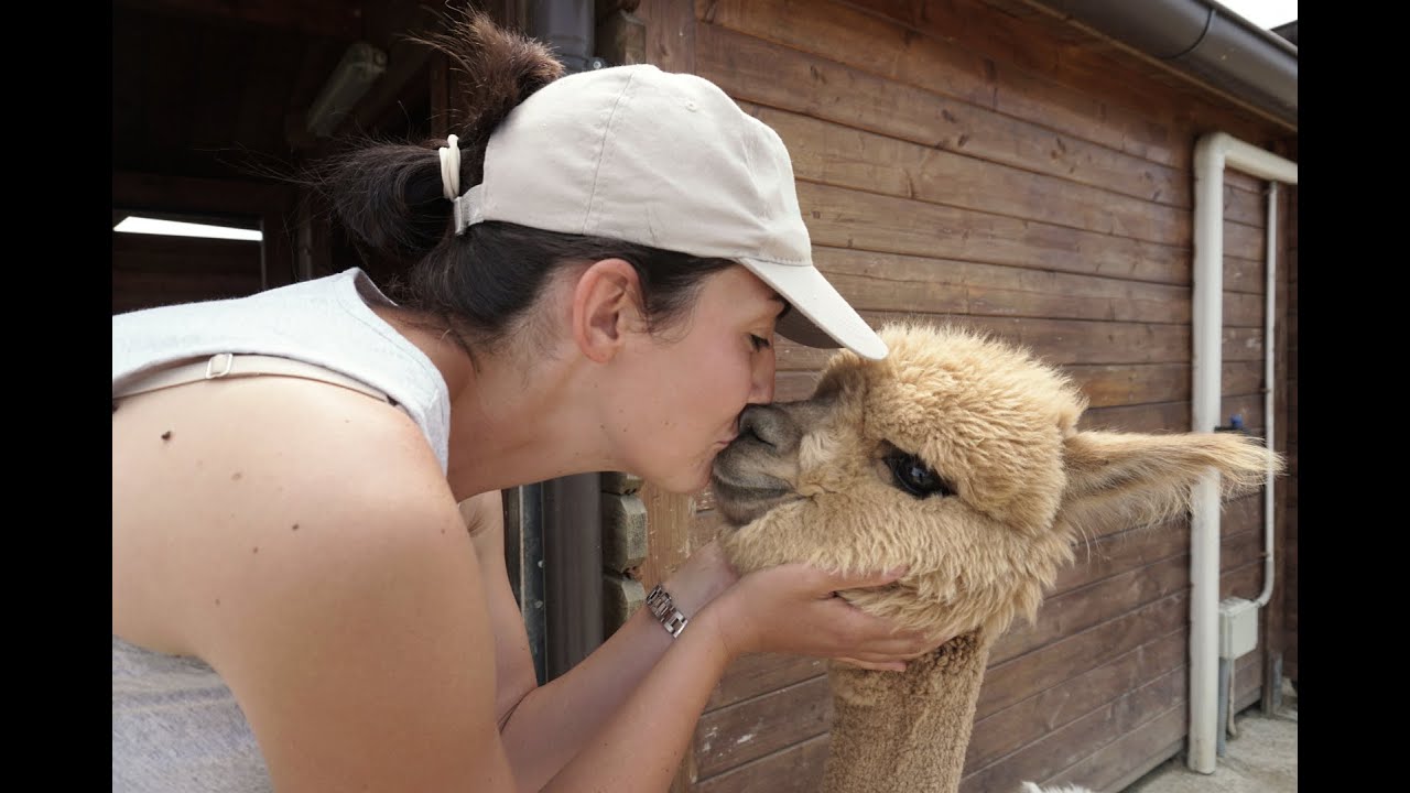 Alpaca di Marano, Filiera Corta e Slow Fashion: Trasformare la Lana a Km0