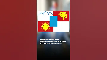 Что означает флаг Сочи? Вы знали?