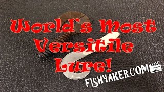 World's Most Versitile Fishing Lure; Soft Plastic Grubs: Episode 267 screenshot 4