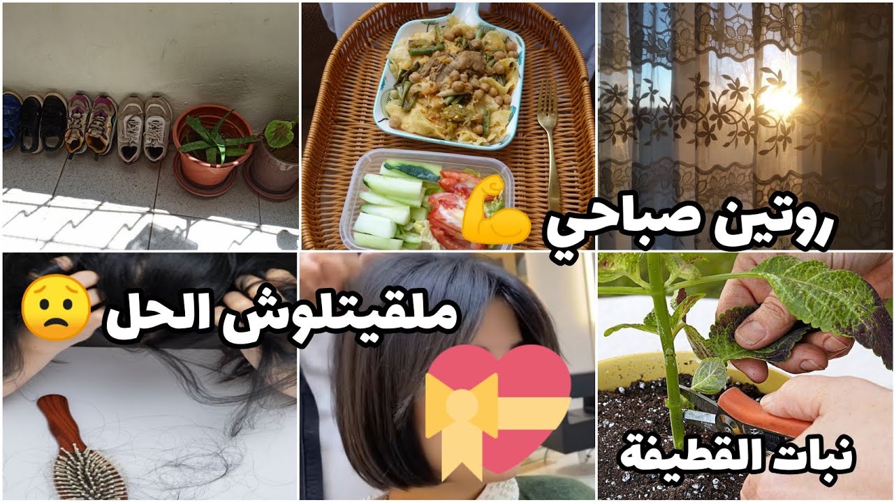 قصصت شعري والسبب😟 روتين صباحي💪 متنوع🌅تنظيف وتنظيم عميق لغرفة أطفالي 💯طريقة الإكثار من نبات القطيفة 🌿