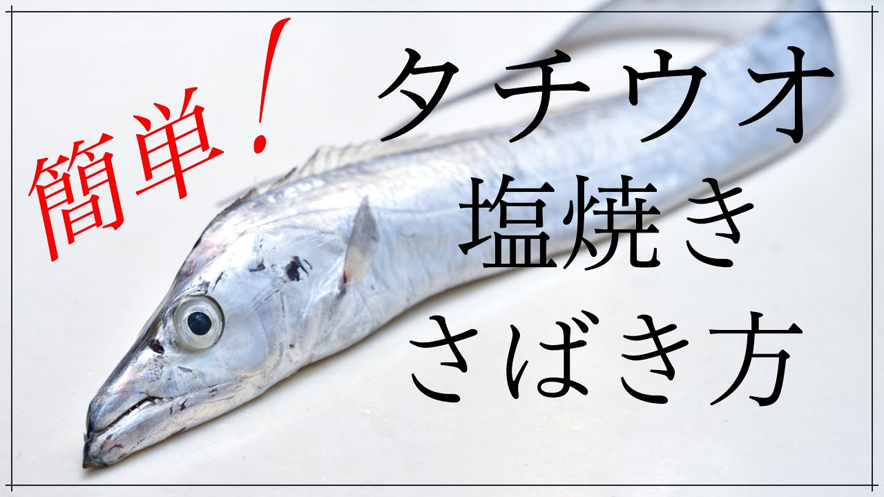 誰でもできる タチウオの塩焼きのさばき方 筒切り 初心者向け 魚さばき方 Youtube