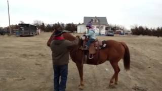 Riding Enstein-VanderMay Livestock