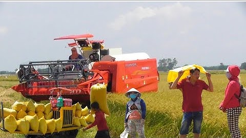 Kỹ sư Trung Quốc chế ra máy cắt 130 hàm 3 tém cắt lúa rất nhanh giá 880tr tập55 #maibangtv