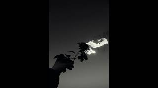 Hayxi & Axi - Şarap Resimi