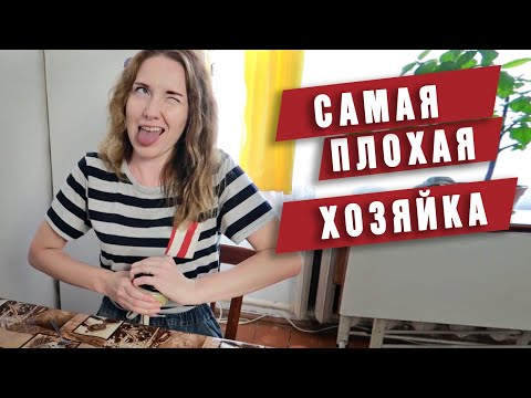 Почему я не люблю свою собаку?