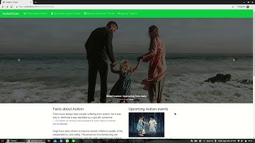 AutismICare.ml/iteration2 User Testing