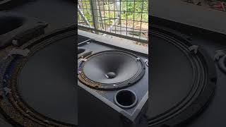 12-Inch Portable Speaker Sound Test Real Bass & Clarity Check #tvrepair #bass #dj