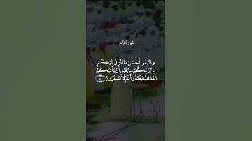 لَوْ أَنَّ لِي كَرَّةً فَأَكُونَ مِنَ الْمُحْسِنِينَ || سورة الزمر || علي جابر